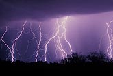 Multiple lightning bolts with fine filaments crowd a purple sky