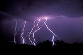 A cluster of bright cloud-to-ground lightning bolts