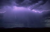 Lightning filaments illuminate a twilight rain shower