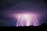 A dense cluster of highly electric lightning bolts glow in a dusky sky