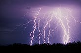 Very fine filament detail adorns a highly electric display of lightning