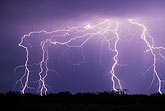 A huddled cluster of lightning bolts with fine filaments