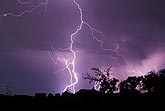 Close-up of a dancing lightning bolt with silhouetted trees