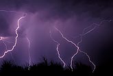 An energetic dance of erratic lightning bolts