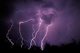 Jagged cloud-to-ground lightning bolts dance crazily