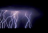 Dense cluster of multiple strike cloud-to-ground lightning 