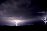 Rare ground-to-cloud lightning, branching upward