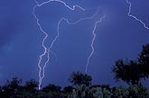 Very finely etched lightning bolts striking the same contact point