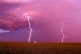 Brilliant highly electric lightning discharges in rosy, intense sunset 