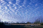 A high sheet of Altocumulus Floccus clouds with turretting elements