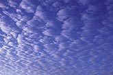 The rhythmic clotted texture of a breaking sheet of Altocumulus Floccus