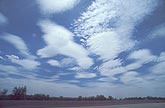 Cloud types, Acl: typical lenticular Altocumulus clouds