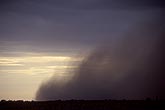 Close view of a dust foot on the forward edge of a downburst