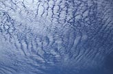 Altocumulus Floccus in a sheet of billows create a lacy effect