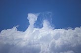 Strange and rare cloud forms: wispy spurts atop Cumulus Congestus