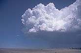 Energetic billowing Cumulus Congestus cloud