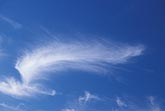A graceful, feathery wisp of Cirrus cloud inspires a sense of freedom