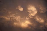 Frilly edges of Mammatus clouds glow golden