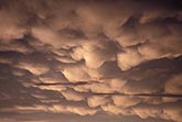 Bulbous Mammatus clouds in a brooding sky