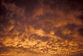 A mysterious golden glow washes over a turbulent Mammatus sky