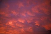 A rosy sunset transforms a stormy Mammatus sky