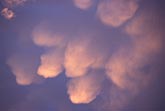 Pouches of Mammatus, each a bubble of air with negative buoyancy