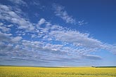 Cloud types, Ac: Altocumulus clouds with crumbled element pattern