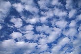 Puffy clouds drift carefree in a pristine sky