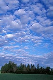 Puffy clouds with loosely spaced elements create a carefree mood