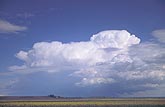 Storm cloud evolution: uniform growth supplanted by a burst phase