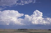 A boiling Towering Cumulus with nearby Cumulonimbus