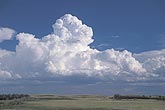 Cloud types, TCu: a Cumulus Congestus cloud with one taller tower