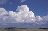 A Towering Cumulus cloud grows into a storm