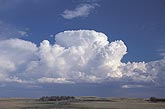 A boiling Cumulus Congestus flattens on top as it grows into a storm 