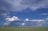 Towering Cumulus clouds stop at a stable layer