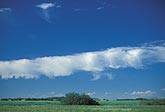 An unusual cloud line of fallstreaks, like Castellanus, but higher