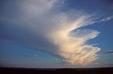 Time and change in cloud evolution: orphan anvil plumes fans out 