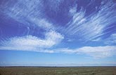 Telling similar cloud types apart: Cirrus and Altocumulus
