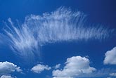 Vertical Cirrus streaks dare to be different in a sky of puffy clouds