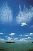 Cirrus streaks and Cumulus clouds in a changing sky