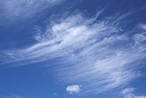 Cirrus cloud fallstreaks bend far backwards as they fall 