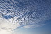 A finely textured sweep of mackerel clouds