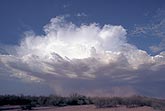 Early warning signs of dust storm coming by propagation