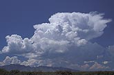 Pudgy Cumulus clouds boil up as they join into a storm
