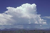 Energetic cloud boils up in a young Cumulonimbus