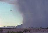 Pounding rains accompany a cloudburst in the desert