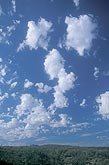 A carefree scattering of puffy Altocumulus clouds