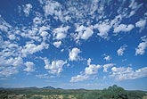 Altocumulus Floccus clouds with large, soft elements