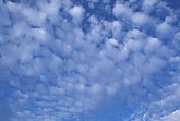 Soft puffy little clouds afloat in a soothing dream skyscape