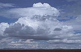 A fat Cumulus cloud towering high into the sky